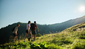 Four hikers in athletic clothing walking on a sunny, green mountain meadow with a mountain background. Bright sunny day during summer. | © Kleinwalsertal Tourismus eGen • Photographer: Oliver Farys